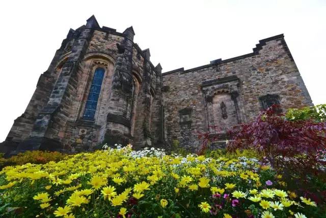 小编写完这条微信就请假去英国了，老板，这是我离英国最近的时刻