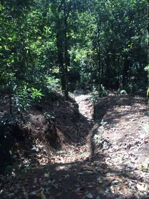 重走滇缅公路视频,纪念抗战胜利78周年重走滇缅公路