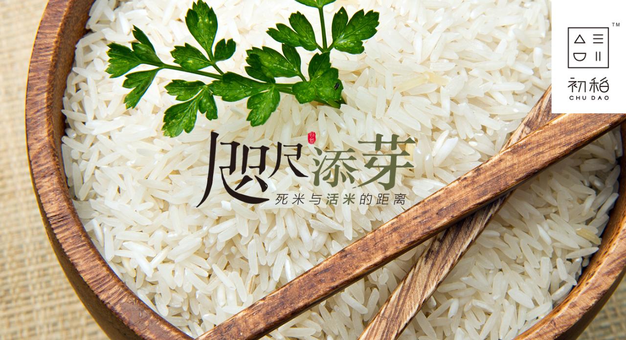 脚气病患者的福音,脚气病日本人