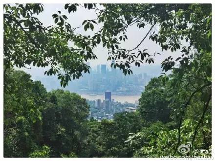 重庆茶室最出名的茶馆,重庆喝茶打麻将的地方都有哪些