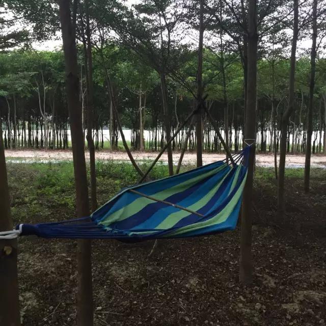 暑假避暑玩水胜地,暑假避暑玩水好去处