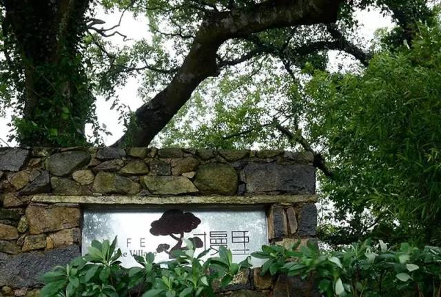 东南第一山私藏浙南最美的风情,浙江山林美宿攻略