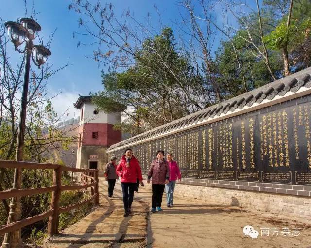 丰顺和大埔,大埔丰顺篮球比赛