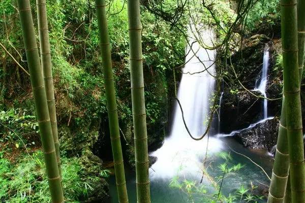 自强不息是哪所大学的校训,厚德尚学自强不息是哪个大学校训