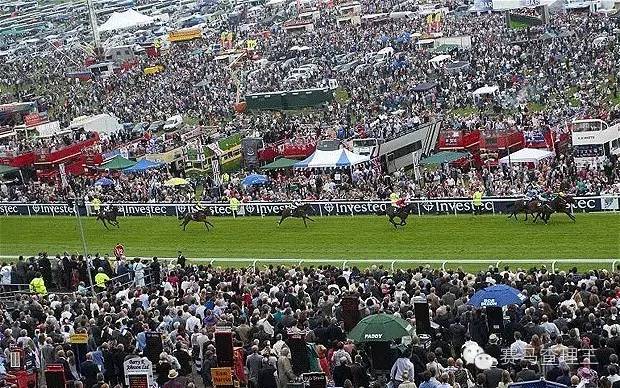 赛马知识小科普,赛马知识科普