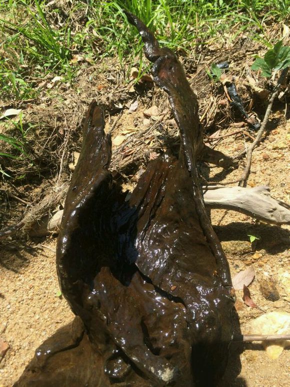 洞里发现玉石原石,洞里发现绿石