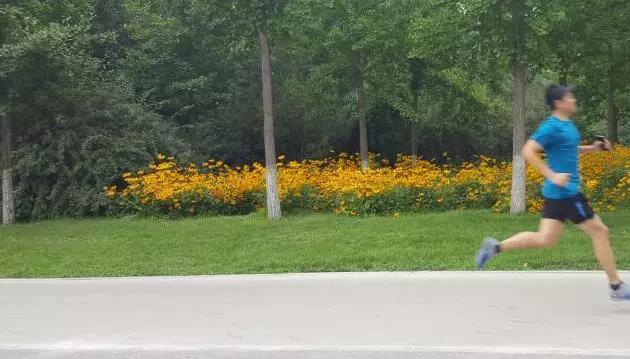 find测评,discovery足球鞋好吗