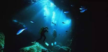 虽然你穷但是什么都懂,虽然你穷但是我爱你