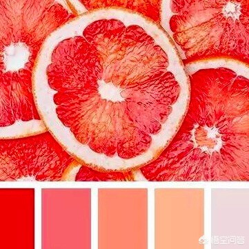 最挑肤色的口红色号,最好看的西柚色口红