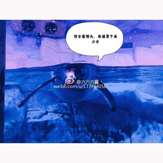 泰国普吉岛3日游攻略2015,泰国曼谷普吉岛照片