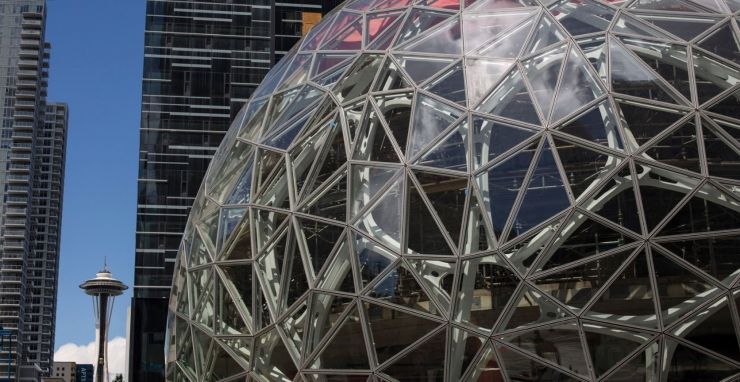 亚马逊植物图片,亚马逊新图像