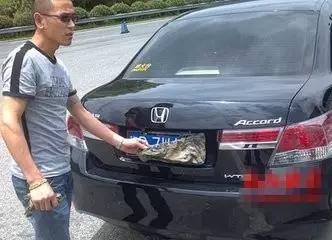 这智商，还有脸遮挡车牌？