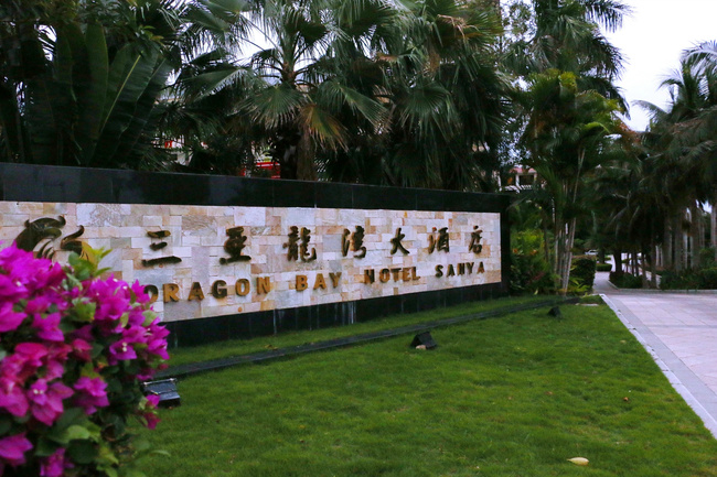 用味蕾感受爱情的酸甜苦辣,用味蕾感受美食独特的魅力