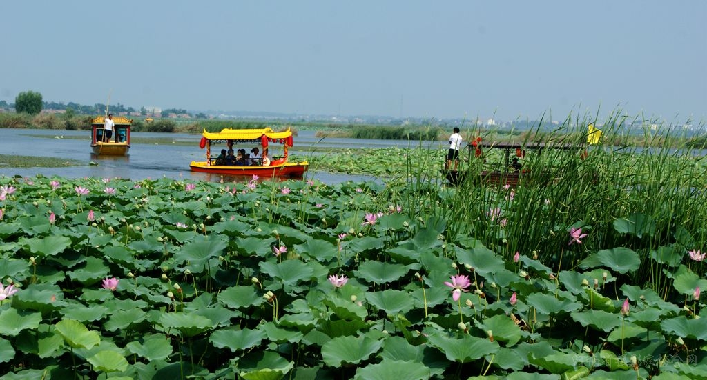 河南江南水乡,河南的水乡