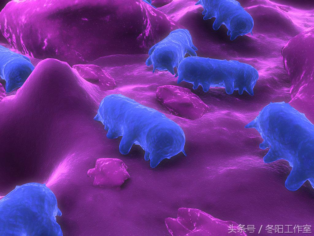 为什么革兰阴性菌可以使用青霉素,青霉素化不开怎么回事