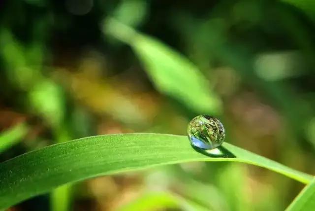 优秀手机摄影作品的五个要素,手机拍的作品