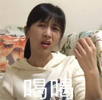 看过世界杯比赛感想,本届欧洲杯教练