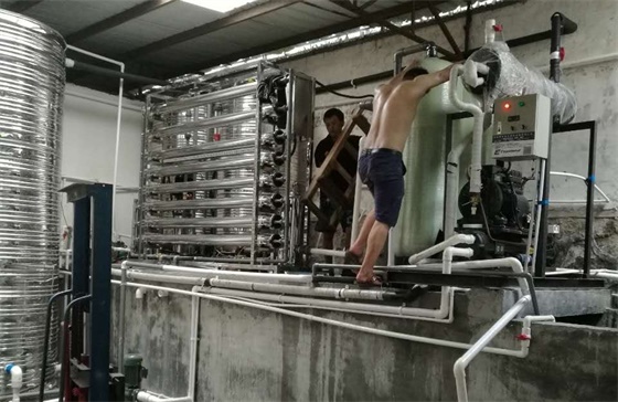 绿点科技新厂,绿点科技厂在哪