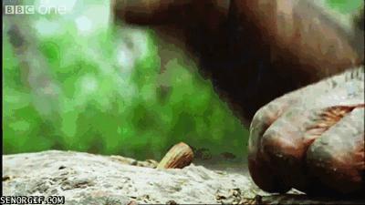 男人动手能力强的工具,论男人的动手能力