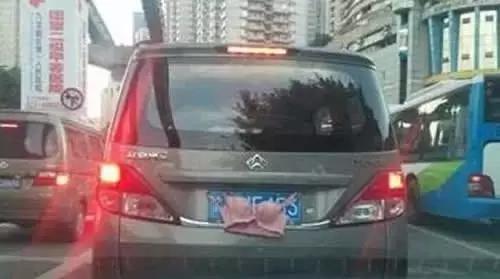 这智商，还有脸遮挡车牌？