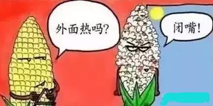 重庆改名字有望吗,重庆有望改名吗