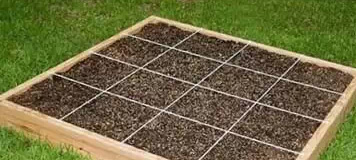 一米菜园风靡全球,一米菜园经营模式怎么样