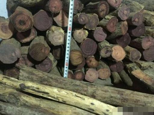 被奸商坑惨了,100万买的海黄料,切开后才知道是紫檀柳假冒的