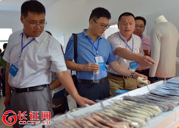 贵州普安长毛兔,黔西南普安县长毛兔