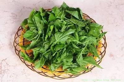 治疗夏季感冒,夏季感冒如何自愈