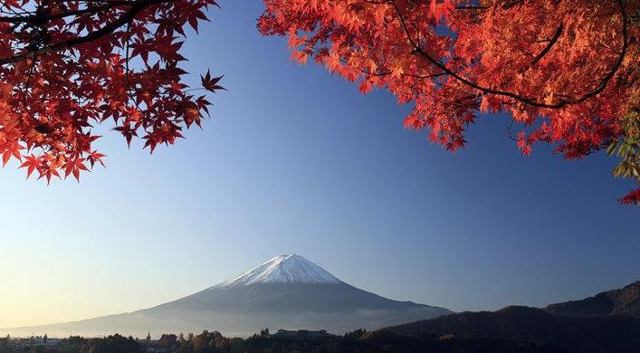 一文读懂日本企业,日本药厂排行