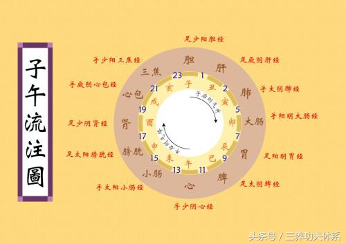 子午养生术,子午流注时辰养生