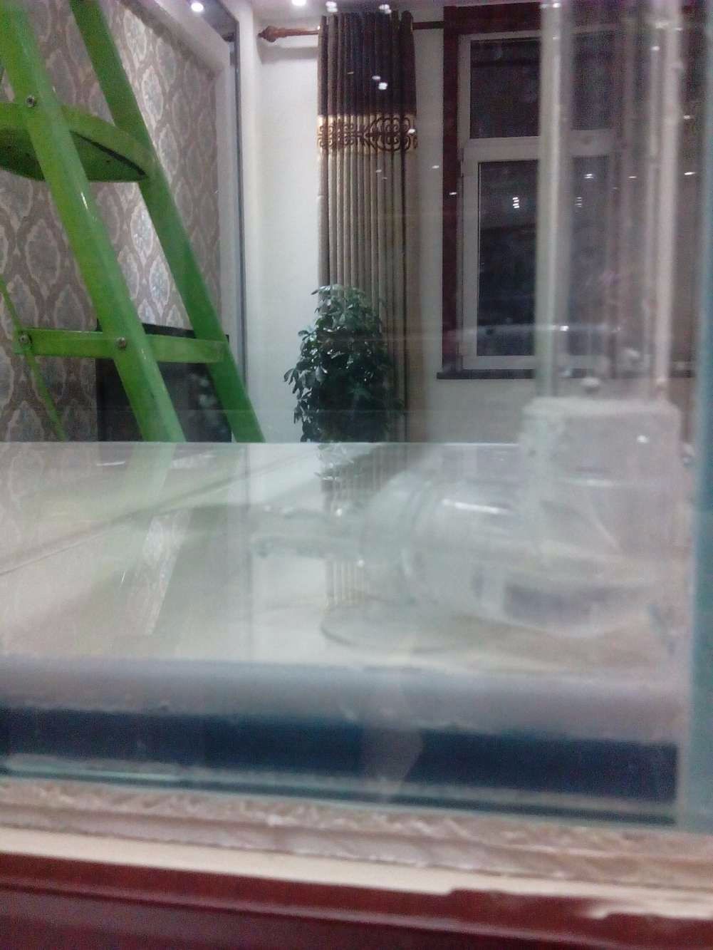 没养鱼有油膜,没养鱼只是在岸上走