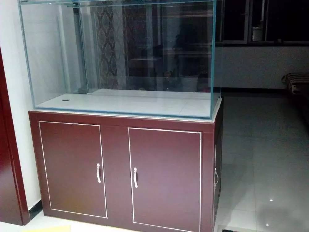 没养鱼有油膜,没养鱼只是在岸上走