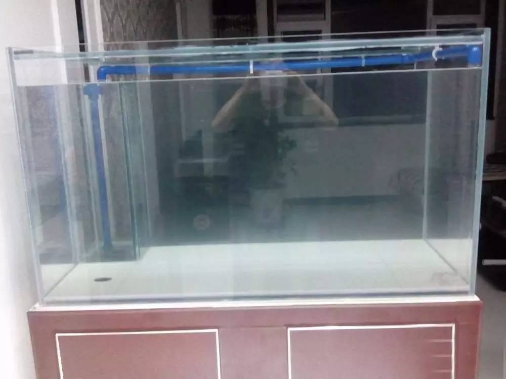 没养鱼有油膜,没养鱼只是在岸上走