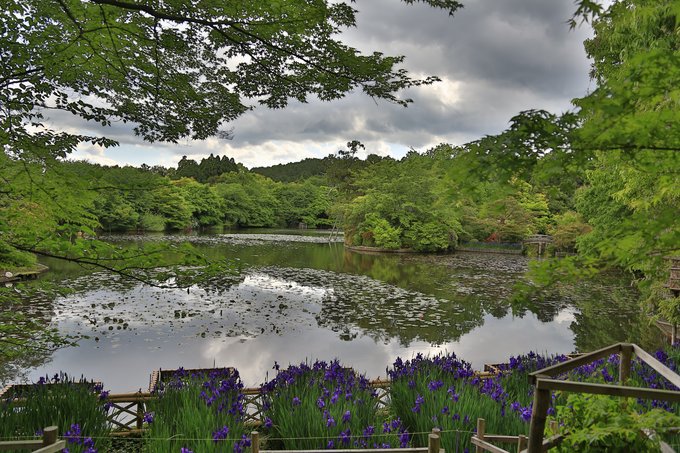 京都攻略,京都深度游玩攻略