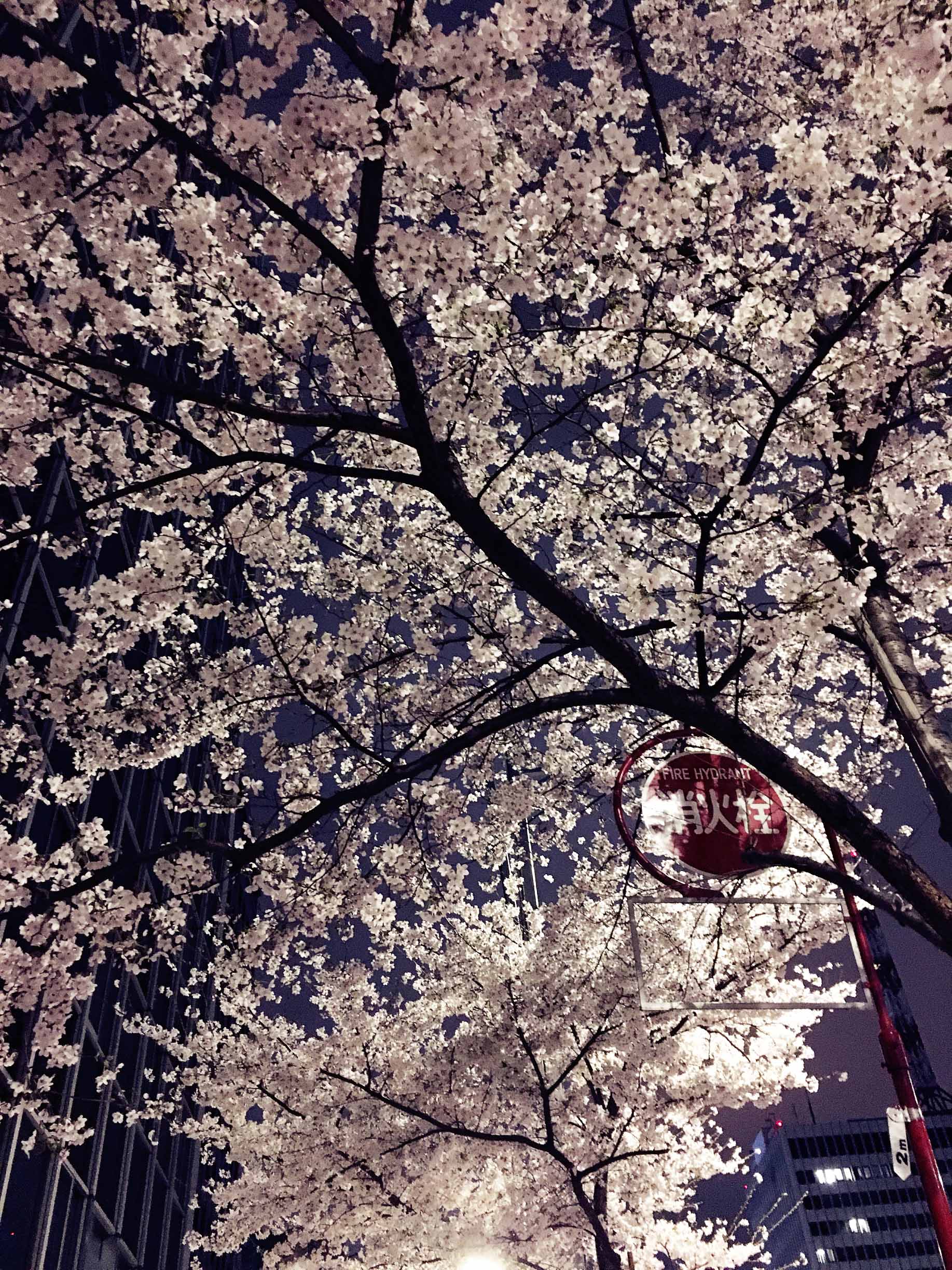 到日本买化妆品可以带回来吗,如果去了日本要注意什么