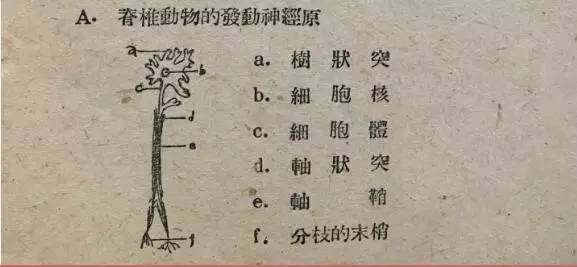 国立中央大学1933年试卷,国立中央大学试题