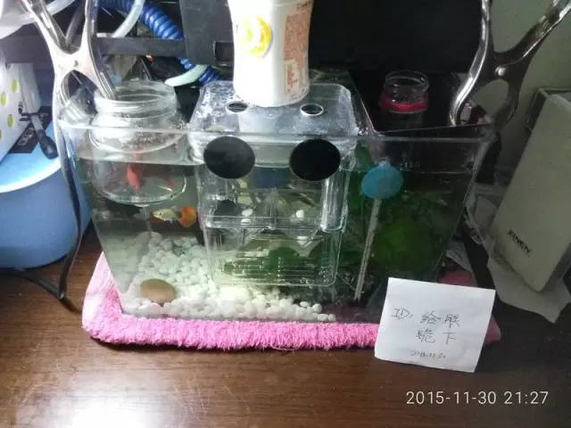 新手独白总结一下那些年我们犯过的错