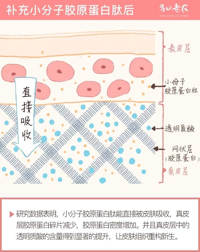 男人脸上也有胶原蛋白,男士如何让自己的脸有胶原蛋白