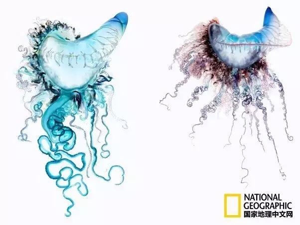 夏天带宝宝去海边玩注意什么,带娃到海边玩一定要注意安全