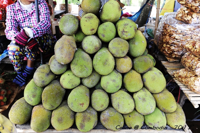 柬埔寨必去景点推荐,柬埔寨旅游必去的九大绝佳景点