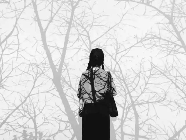 优秀手机摄影作品的五个要素,手机拍的作品