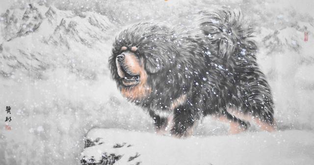 《一万个宠你的方法》爱宠知多少?第十三期:藏獒