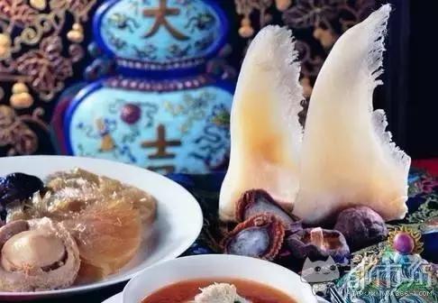 孩子喜欢的动物园,孩子喜欢的动物你绝对想不到