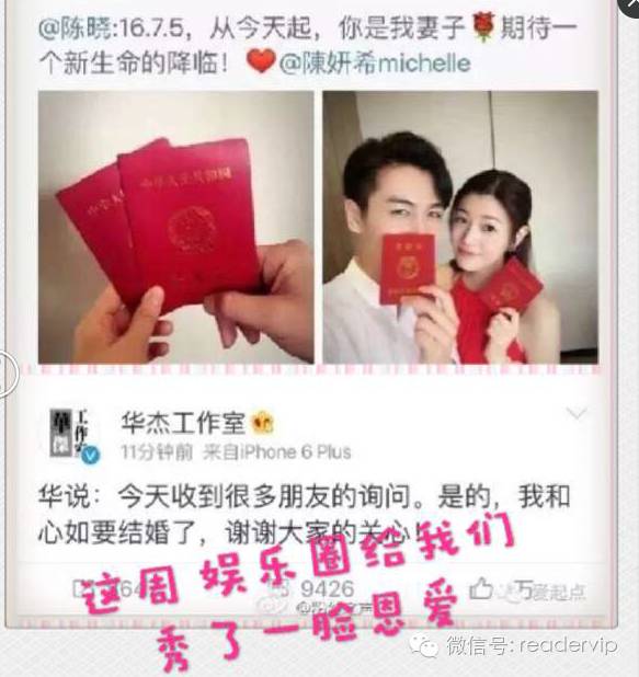 教做狗粮,最安全最健康的狗粮制作方法