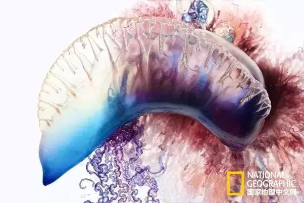 夏天带宝宝去海边玩注意什么,带娃到海边玩一定要注意安全