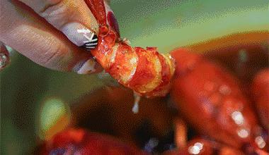 张嘉佳小龙虾,张嘉佳小龙虾微博