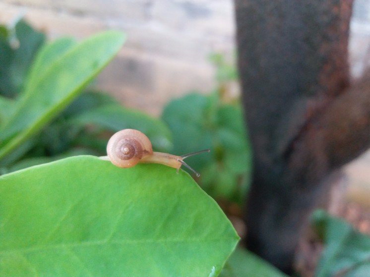 2020年三星note10+值不值得入手,三星新款手机值得买么