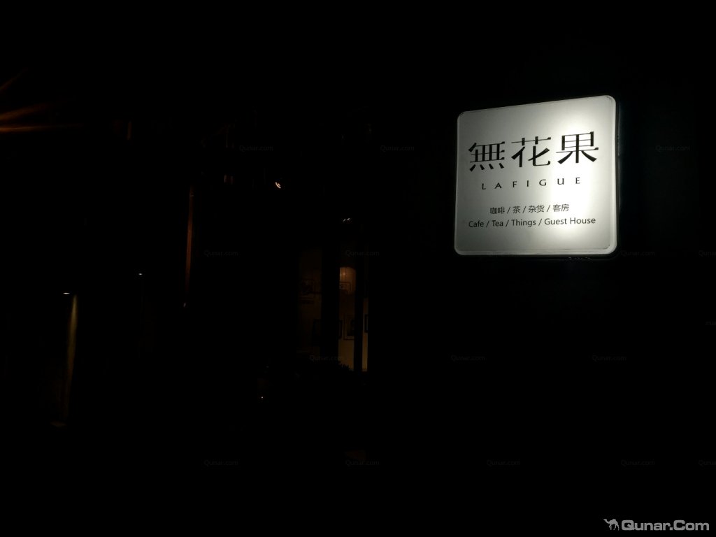 大理无花果好去处,大理路边大叶无花果