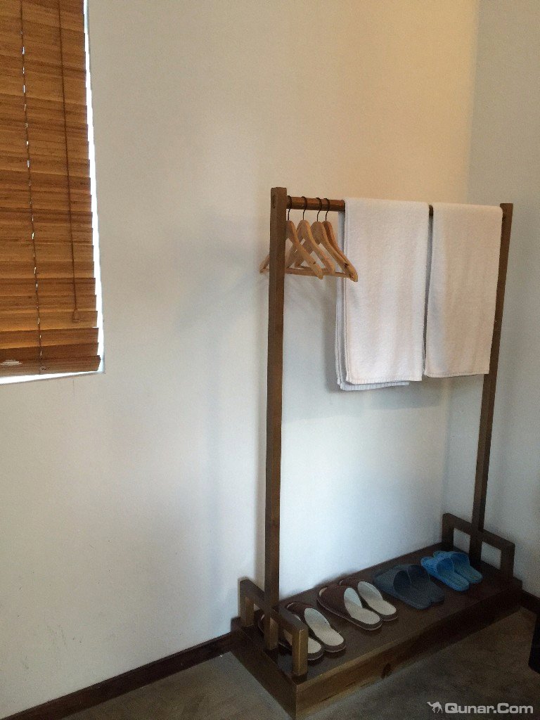 大理无花果好去处,大理路边大叶无花果